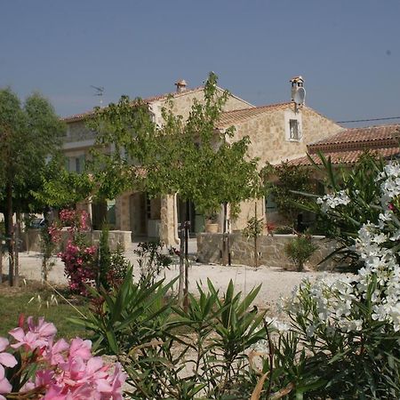 Locations Des Alpilles Apartment Saint-Remy-de-Provence Ngoại thất bức ảnh