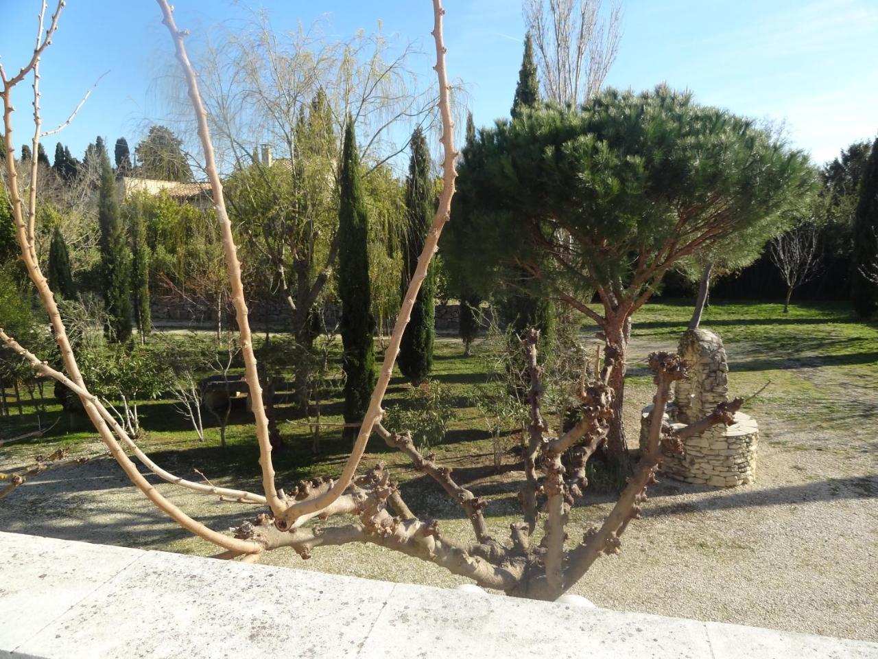 Locations Des Alpilles Apartment Saint-Remy-de-Provence Ngoại thất bức ảnh